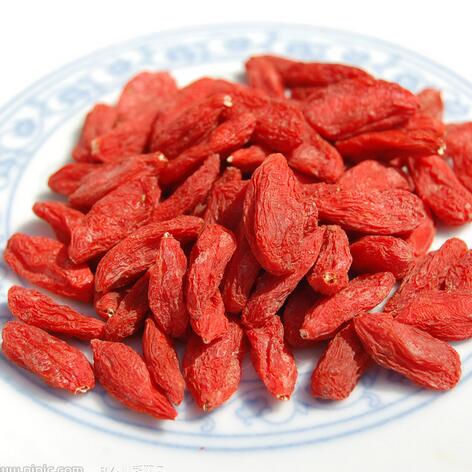 Wolfberry Extract/ Goji Berry Extract / Barbary Wolfberry Extract