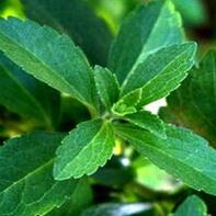 Plant Extract Stevia, Stevia Extract(Stevioside), Stevia Leaf Powder，Organic Sweetener Rebaudioside A 98%, Stevia Tablets