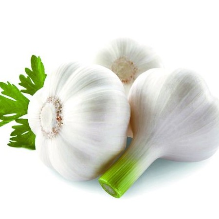 Pure natural organic garlic extract Granular