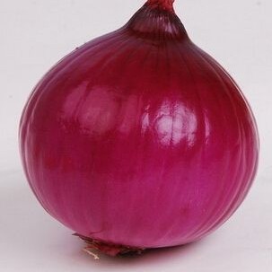 Pure natural organic onion powder