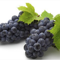 High quality Grape seed extract proanthocyanidin 95%